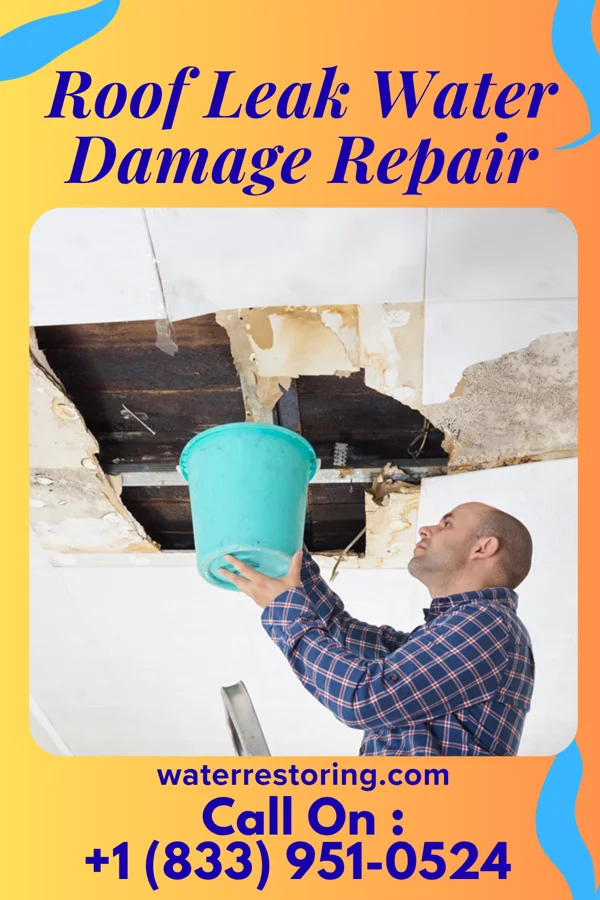 Roof Leak Water Damage Repair in Burlington, OH